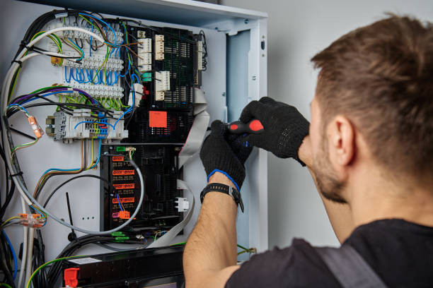 Licensed Electrical Panel Upgrade service in Skidway Lake, MI - No Joke electrician